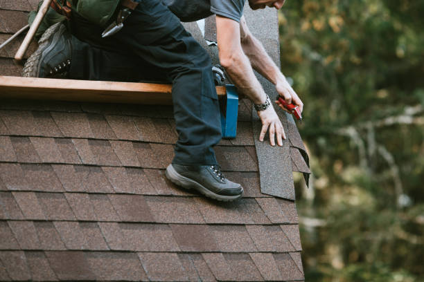 Best Roof Gutter Cleaning  in Lake City, FL